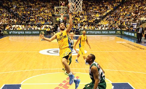 מכבי תל אביב. חסות שמקשרת כדורסל ושילוח