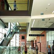 העיקר הבריאות