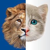 יש קמפיין שיווק ויש קמפיין של בזק