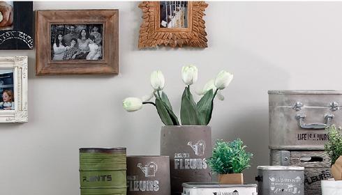 החידוש של ביתילי. מכניסה ריהוט אקולוגי לבתי הצרכנים