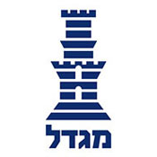 מגדל