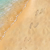 מנורה מבטחים